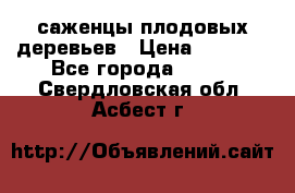 саженцы плодовых деревьев › Цена ­ 6 080 - Все города  »    . Свердловская обл.,Асбест г.